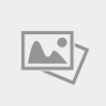 Удилище SHIMANO Forcemaster BX Spinning 24MH SFMBX24MH